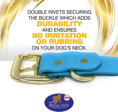 Regal Dog Products Small Light Blue Waterproof Dog Collar with Gold Buckle, Resilient and Durable Materials, Comfortable Design - for Small, Mediu...