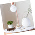 Yardwe 1pc Tank Flower Modern Desktop Vintage Stand Riser Artware Ball Bowl Aquarium Shelf Plant Cm Globe Tabletop Tray Platform Yard Sphere Room ...