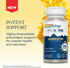 SOLARAY Quercetin Phytosome - 20X Absorption - Easy-to-Digest Antioxidants Supplement for Overall Health Support - Vegan and Made Without Soy - 60...