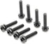 ReplacementScrews 1 Set of Metric Screws (Model RS-198358) Pan Head - Philips Drive - Black Plated (Pack of 8)...
