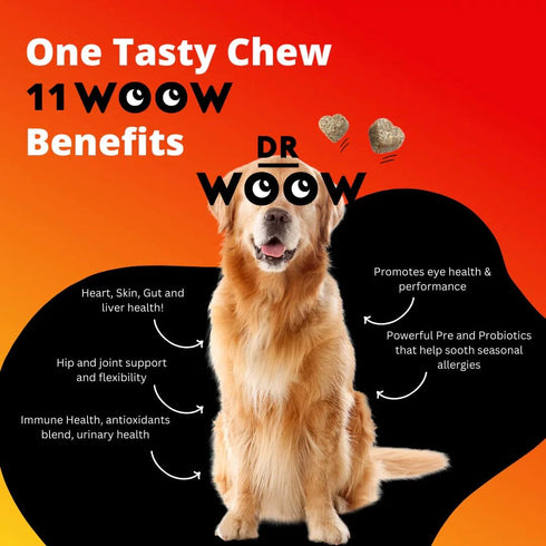 Multivitamins for Dogs - Everyday Vitamins for Dogs | Gut Immune Health, Joint Heart Eye Support | Dog Supplements Glucosamine Chondroitin, Digest...