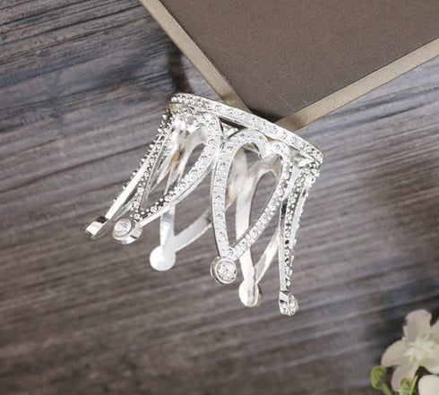 Pack of 3 Silver Air Plant Holder Cute Crystal Tillandsia Display Container Home Decors Office Desktop Marble Egg Sphere Stand...