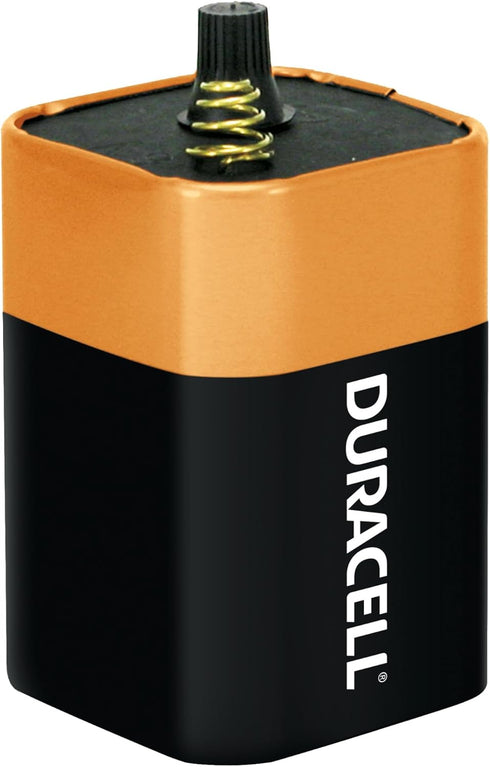 Duracell DURMN908 - Alkaline Lantern Battery...