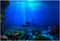 FILFEEL Aquarium Background Fish Decorations Pictures 3D Effect PVC Adhesive Poster Underwater World Backdrop Decoration Paper Cling Decals Sticke...