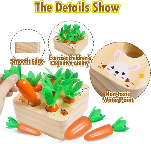 Wooden Toys for 1 2 3 Year Old Baby Boys and Girls, Montessori Toy Carrot Harvest Game Shape & Sorting Matching Puzzle, Educational Developmental ...