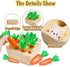 Wooden Toys for 1 2 3 Year Old Baby Boys and Girls, Montessori Toy Carrot Harvest Game Shape & Sorting Matching Puzzle, Educational Developmental ...