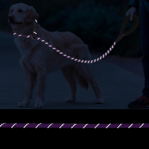 Slip Lead 6 FT for Small and Medium Dogs,Puppy Dog Training Leash Heavy Duty,No Pull Reflective Nylon Dog Leash,Rope Training Leash for Dogs That ...