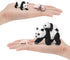 Animal Life Cycle Model Figure 4 PCS Panda Growth Model Classroom Accessories Party Supplies Cake Toppers Desktop Decoration Educational Developme...