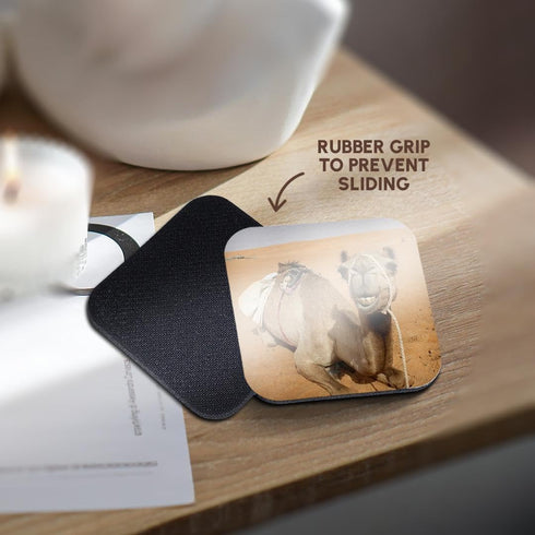 3dRose CST_164767_2 Smiling Camel Resting at Bedouin Camp in Oman Photo by Rhonda Albom Soft Coasters, (Set of 8)...