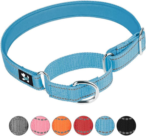 Adjustable Martingale Safety Training Dog Collars, Soft Neoprene Padded Breathable Nylon Pet Collar for Small Medium Large Dogs (L, Blue)...