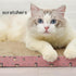 Cat Scratchers Cardboard, Cat Scratch Pad, Cat Scratching, Corrugated Board Reversible with Catnip for Indoor Cats (Waves)...
