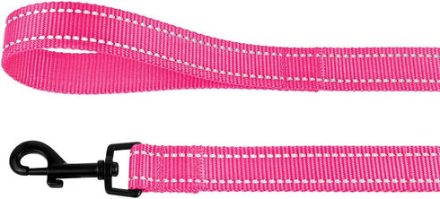 CollarDirect Nylon Dog Leash 5ft for Daily Outdoor Walking Running Training Heavy Duty Reflective Pet Leashes for Large, Medium & Small Dogs (L, P...