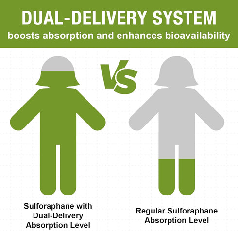 800 MG Liposomal Sulforaphane, Powerful Dual-Delivery for Maximum Absorption & Potency, Full-Spectrum Broccoli Extract, Antioxidant & Liver Supple...