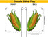 Corn Garden Flag Cartoon Golden Sweet Corn on The White Background Decorative Spring Summer Outdoor House Flag for Garden Yard Lawn 12 x 18 Inch...