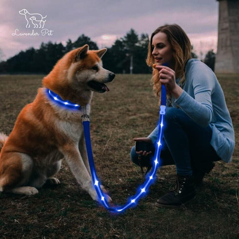 Led Dog Collar 1000 ft Night Visibility LED Dog Leash - Padded Double Traffic Handle |10hr Battery Life, USB-C Quick Charging Light Up Reflective ...
