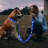 Led Dog Collar 1000 ft Night Visibility LED Dog Leash - Padded Double Traffic Handle |10hr Battery Life, USB-C Quick Charging Light Up Reflective ...