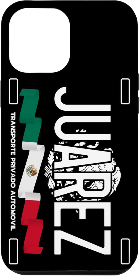 iPhone 14 Pro Max Juarez License Plate Aesthetic, Juarez Chihuahua, Juarez Case...