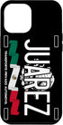 iPhone 14 Pro Max Juarez License Plate Aesthetic, Juarez Chihuahua, Juarez Case...