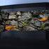 48X24IN Stone Aquarium Background, Rock Fish Tank Background, Natural Rocky Glass Terrarium Background with 8 EVA Double-Sided Tape...