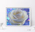 MOER SKY White Rose Flowers 5D Diamond Painting Kit by Numbers Embroidery Cross Stitch Arts Craft Canvas for Adults Kids for Relaxation and Home W...