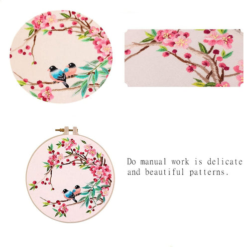 AISIBO Embroidery Kits, Embroidery Starter Kit with Birds Pattern and Instructions, Cross Stitch Set for Beginners, Embroidery Cloth with Pattern ...