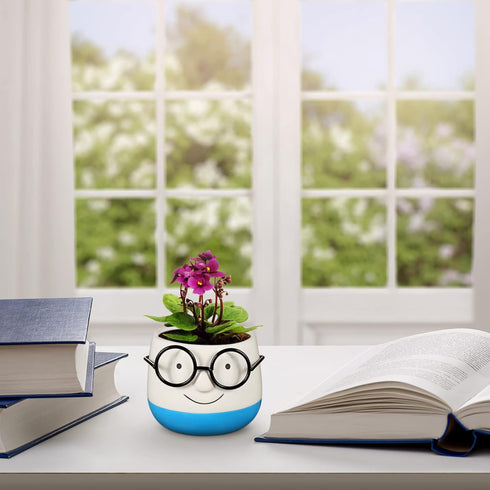 PRETYZOOM Ceramic Plant Pot Eyeglasses Design: Bonsai Pot Flower Pot Succulent Planter Plant Container Pen Brush Holder Cup...