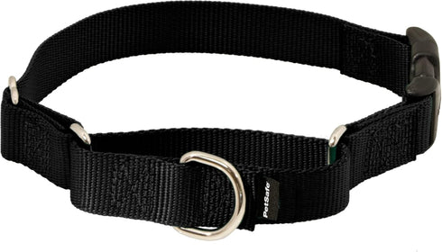 PetSafe Martingale Dog Collar with Quick-Snap Buckle - Medium, 3/4 Inch, Black...