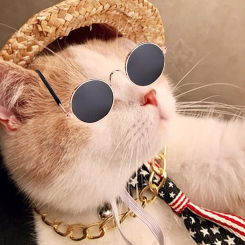 4Pcs Cat Glasses Cat Gold Chain Necktie and Straw Hat, Fashion Cool Pet Sunglasses Adjustable Pet Gold Chain Set Classic Funny Pet Accessories for...