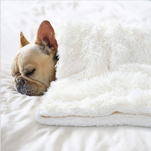 BENRON Medium Dog Blanket for Couch Bed Crate, Cozy Reversible Fleece Dog Blanket, Washable Fluffy Throw Blankets 30x40 Inches Cream White...