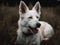 IPISSOI DIY Diamond of Painting Kits White Shepherd Full Drill Round Diamond Embroidery Cross Stitch Mosaic Crystal Rhinestone Arts and Crafts Gem...