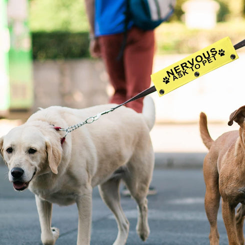 JXGZSO Nervous Rescue Ask to Pet Dog Leash Wrap Rescue Dogs Anxious Dogs Leash Sleeve Cover (N ASK to PET DLS)...