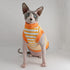 Sphynx Hairless Cat Summer Cotton T-Shirts Cat Vest Pet Clothes,Round collar vest Kitten Shirts sleeveless, Cats & Small Dogs Apparel (Small, Oran...