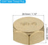PATIKIL G3/4 Brass Pipe Plug, 3pcs Female Internal Thread Hex Garden Hose End Cap Socket Plugs Pipe Fitting for Oil Water Hydraulic Pipeline...