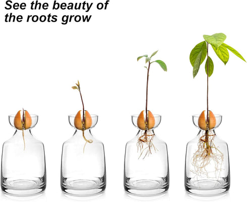 Avocado Seed Sprout Starter Planter Vase - Glass Avocado Tree Growing Vase Planter Pot Grow Avocado Trees Stickers at Garden Home for Planter Love...