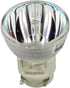 for SP.8VH01GC01/BL-FP190E Projector Bare Bulb/Lamp, fits OPTOMA EH200ST GT1080 S316 X316 W316 DX346 BR323 BR326 DH1009...