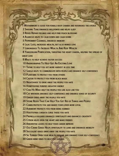 Witchcraft Supplies Kit 30Packs - Herbs for Spells -,Beginner Witch Kit Box with Antique Spoon Witch Starter Kit Ideal Pagan Altar Decor, Witchy G...