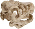 2Pcs Aquarium Decoration Small Resin Dinosaur Skull Skeleton Fish Tank Aquarium Aquarium Cave Pet Reptile House Decoration...