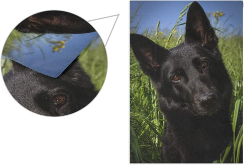 Black German Shepherd Dog Garden Flag Banner 12 x 18 Inch Decorative Garden Flag for Outdoor Lawn and Garden Home Décor Double-Sided...
