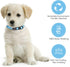 16 PCS Puppy Collars, Safety Buckle Collars for Litter Nylon Adjustable Small Puppies, Breakaway ID Whelping Pet Supplies,Stuff,Accessories(S)...