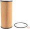BOSCH 3986 Premium Oil Filter With FILTECH Filtration Technology - Compatible With Select BMW 335d, X5...
