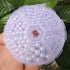Chenkou Craft 1550PCS 1 Box Round Imitation Pearls Bead No Hole Loose Beads Gem (Light Mix, Mix)...
