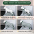 FEimaX Dog Recovery Suit After Surgery, Puppy Spay Neuter Prevent Licking Onesie Alternative Bandages E-Collar & Cone, Pet Abdominal Wounds Post S...
