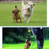 2 Pack Dog Ball, K9 Ball, Solid Rubber Ball on Rope for Reward, Fetch, Play (7cm)...