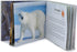 Menique, Juego de Memoria de Animales Salvajes en español. Wild animals Memory Matching game in Spanish....