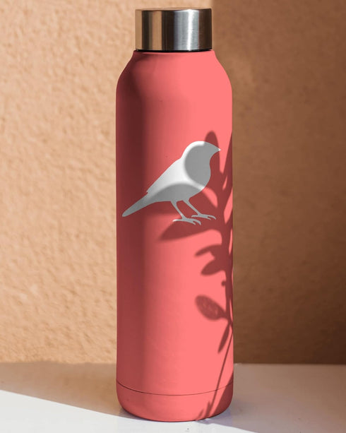 Finch Style Design Stencil, 4-Inch, Reusable Mylar Cutout for Art, Crafts & DIY Projects...