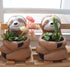 Succulent Planter Pot Animal Pot, Cactus Plant Pot Cute Sloth Design with Drainage Hole, Small Resin Flower Pot for Indoor Outdoor Decor...