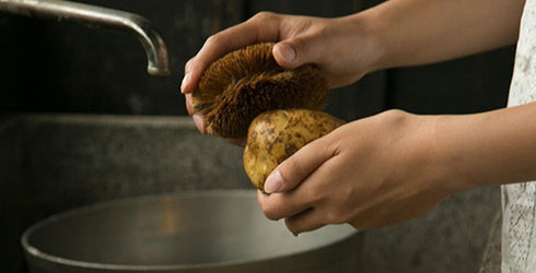 KAMENOKO TAWASHI" Vegetable Scrub Brush × 2 Packs...