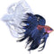 Betta Fish Silicone Resin Molds 3D Unique, Hanging Wall Desktop Decor Large DIY Art Epoxy Mold Aquarium Animal Decoration Office Home Room Cabinet...