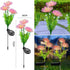 2 Packs of LED Solar Flower Decorative Lights, 2-Mode Outdoor Courtyard Atmosphere Lights and Garden Landscape Lights, Wireless Waterproof from Du...