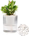 7 Inch Self Watering Pots,Clear Self-Watering Planters Box for Indoor Plants Flowers Outdoor Windowsill Gardens Comes with 1 Bag of White Pebbles...